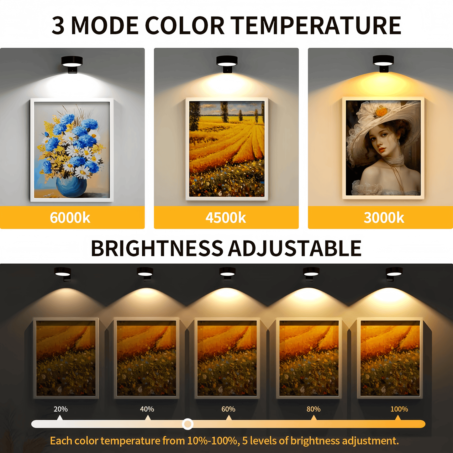 2 Pack Picture Lights for Wall, Battery Operated Picture Light with 3 Color Temps and 13 RGB, Painting Light with Remote Dimmable Timer, Wall Lights for Picture Frames, Black