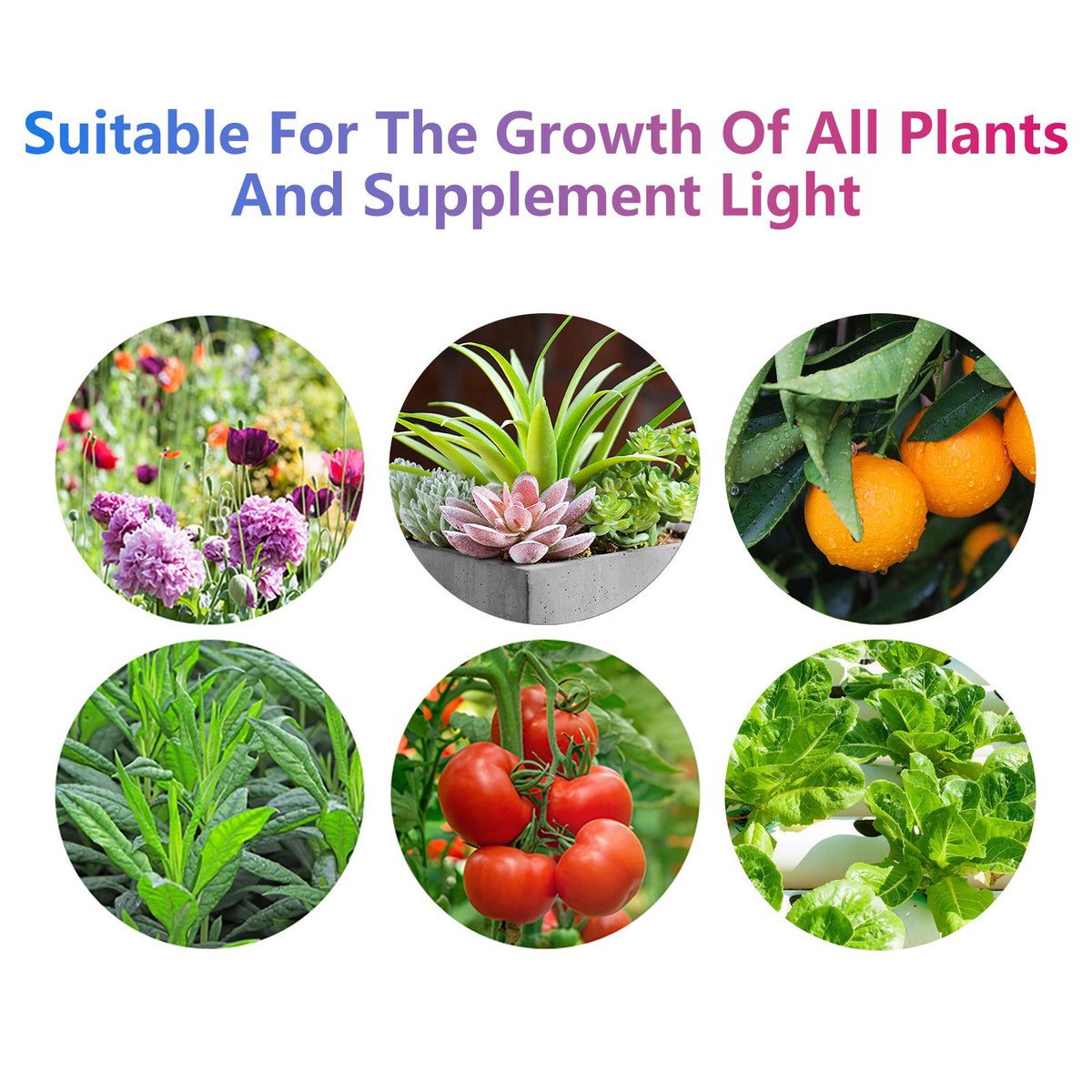 3 Pack Grow Lights,16.4 ft Induction Plant Lamp,Flexible Cut Plant Grow Lights,Waterproof Purple LED Grow Light Strips for Greenhouse Succulents Flowers Vegetables