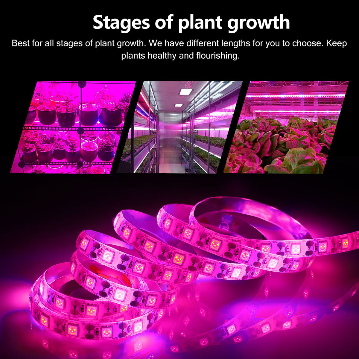 3 Pack Grow Lights,16.4 ft Induction Plant Lamp,Flexible Cut Plant Grow Lights,Waterproof Purple LED Grow Light Strips for Greenhouse Succulents Flowers Vegetables